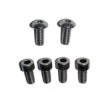Sideplate Screw Kit(Sideplate Screw Kit 1) -Accurate Fishing Shop B 26876