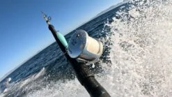 Tern2 Fishing Reel(Tern2 Fishing Reel) -Accurate Fishing Shop txd lifestyle 2